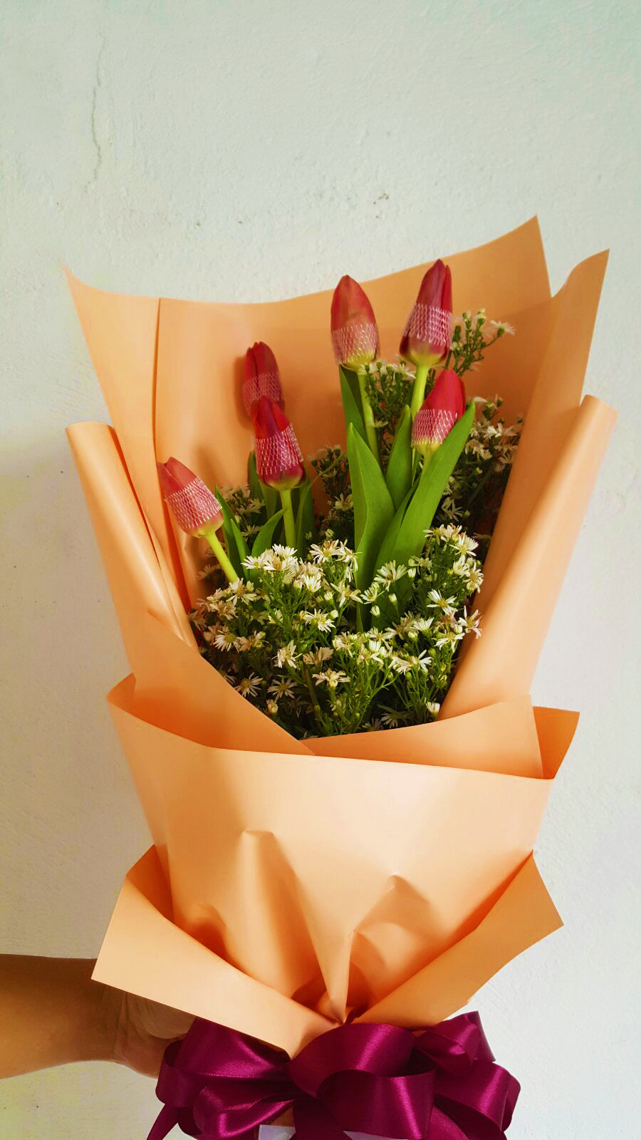 Tulips - 6 Classic