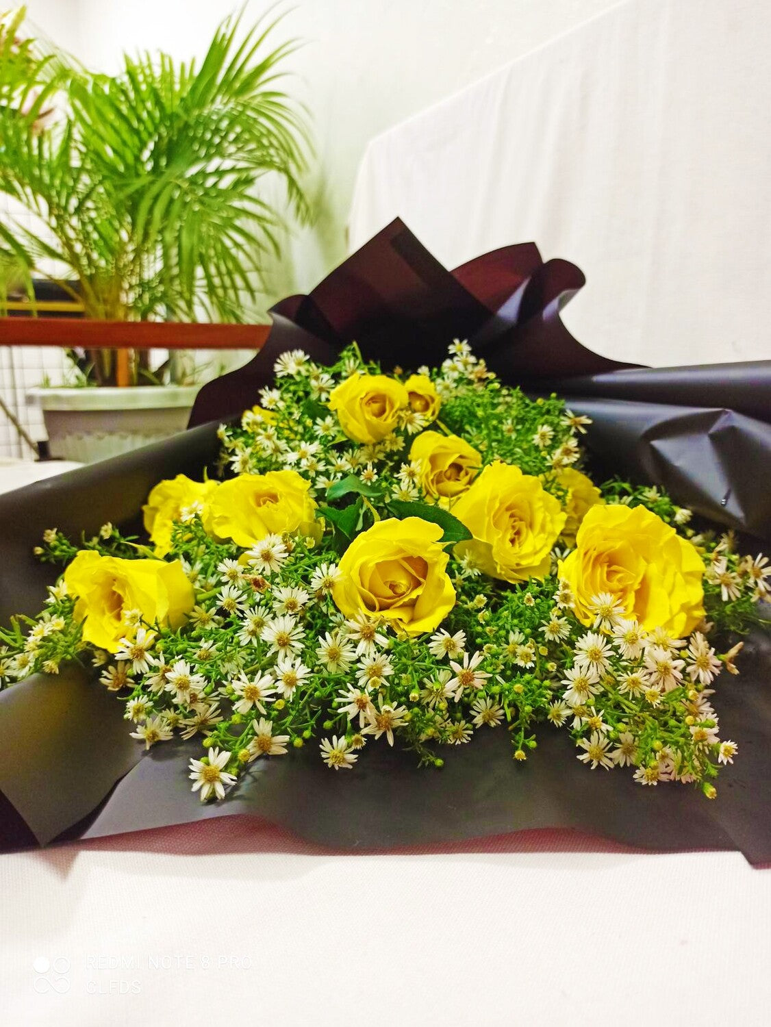 1 dozen - Classic Yellow