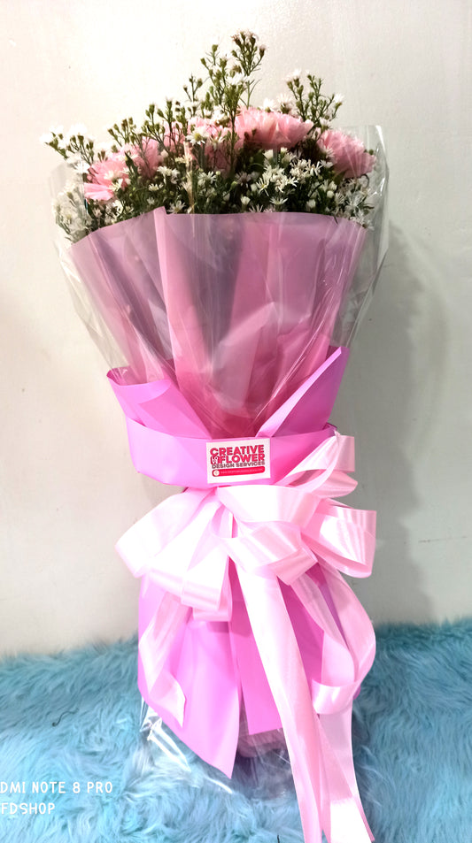 Carnation - Sweet on Pink