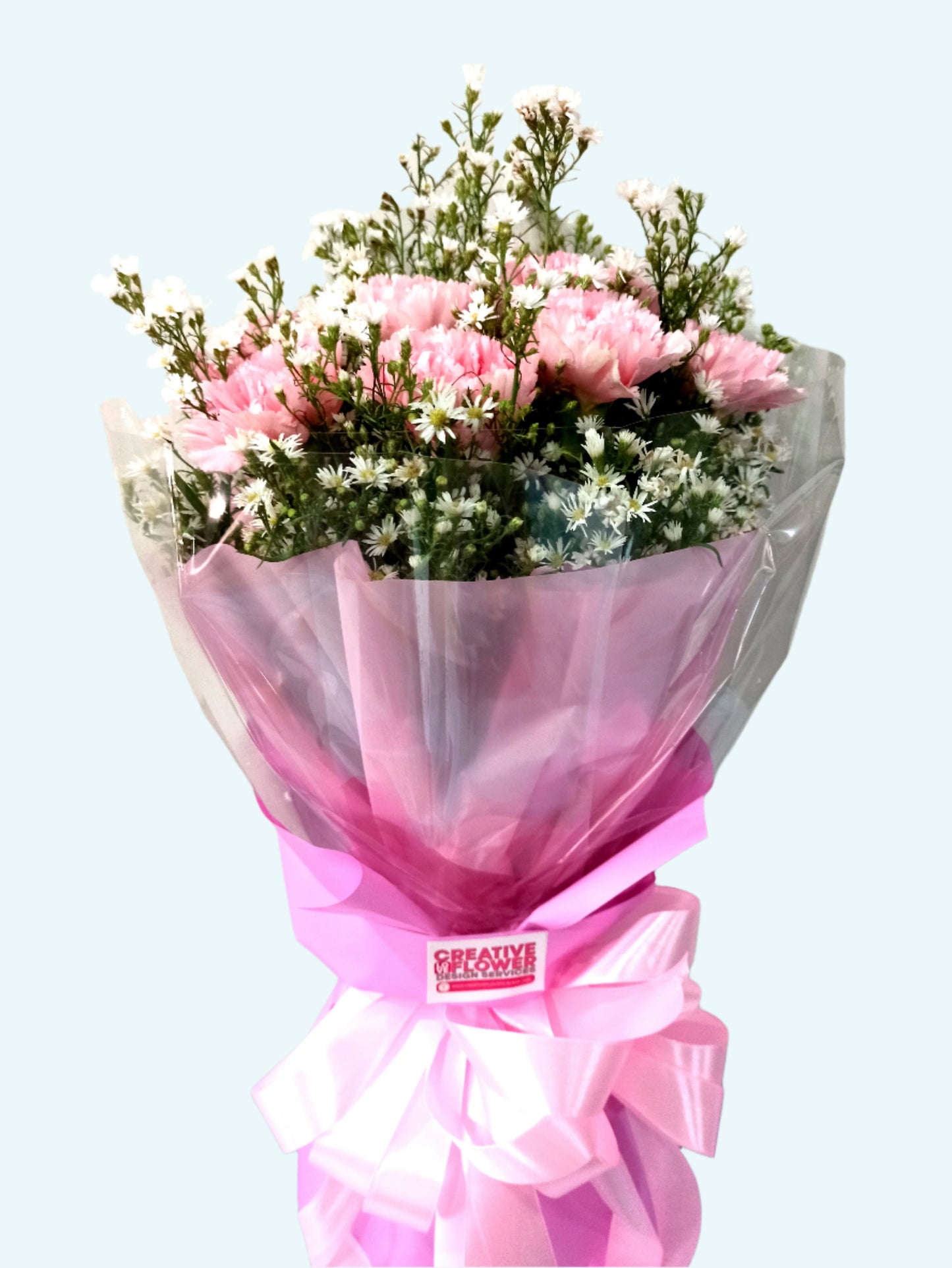 Carnation - Sweet on Pink