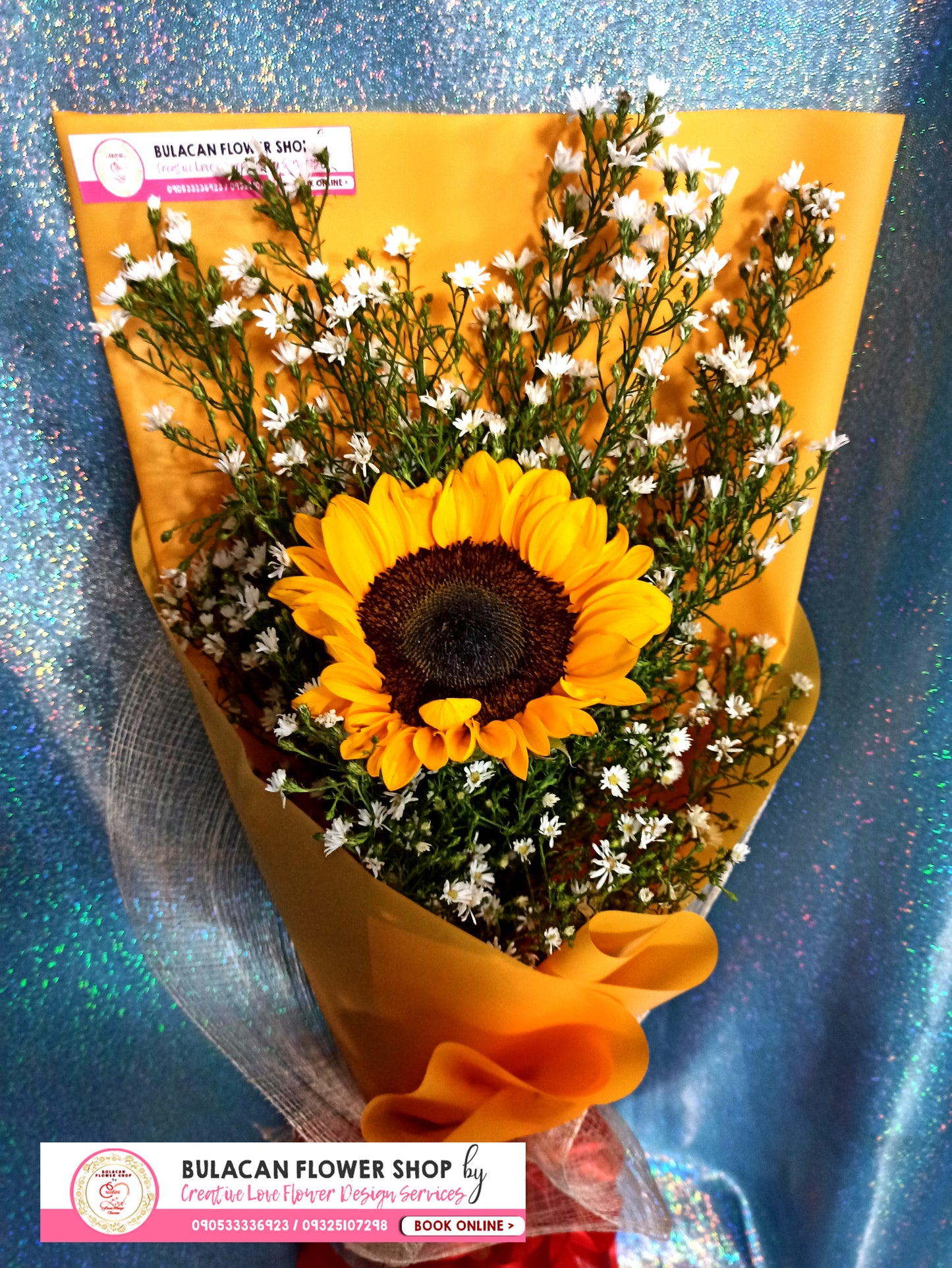 SUNFLOWER - SINGLE - Warm sunshine