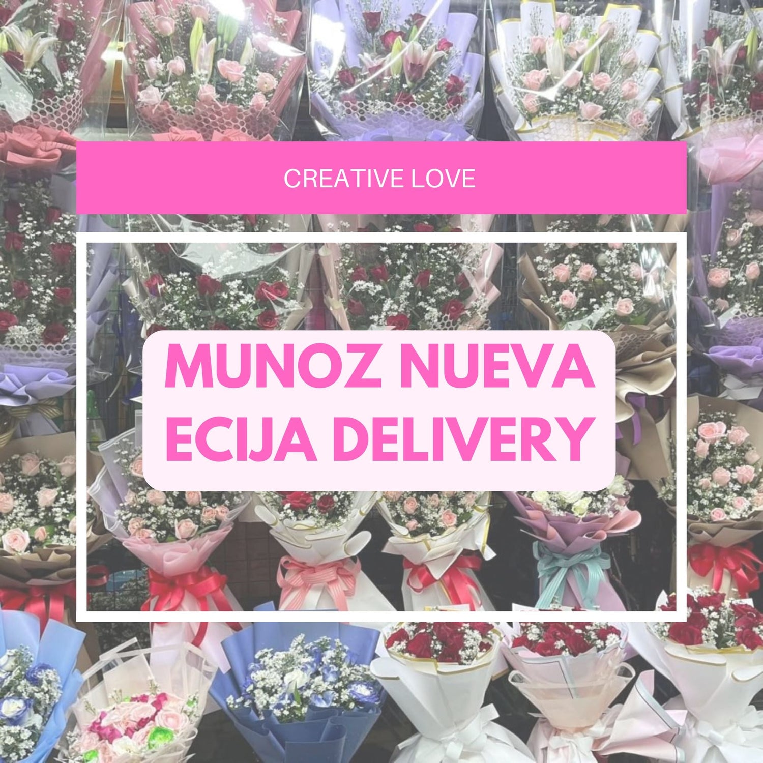 Munoz Nueva Ecija