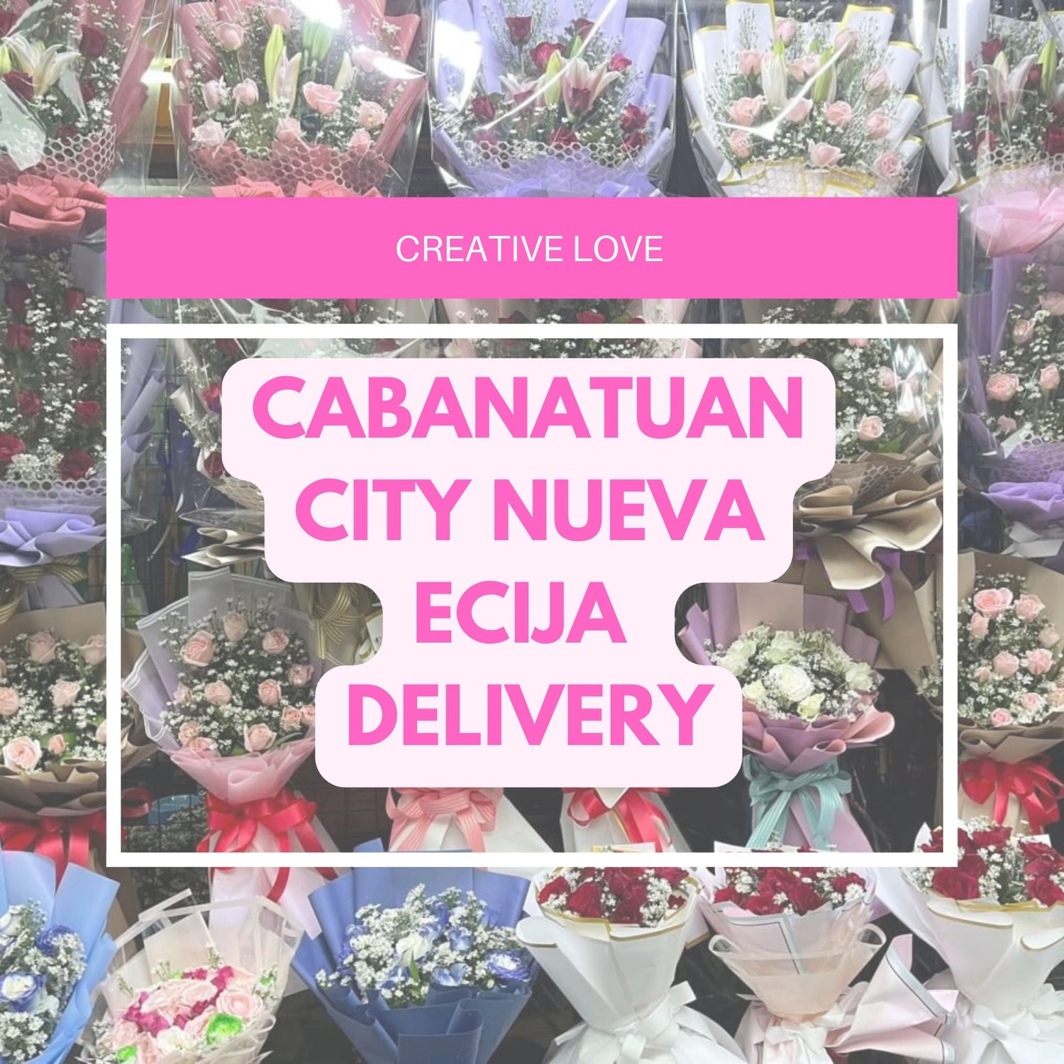 Cabanatuan City