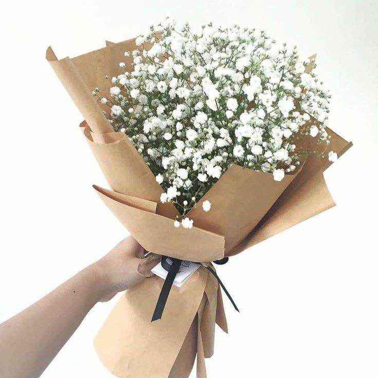 Gypsophila (babys breath bouquet)