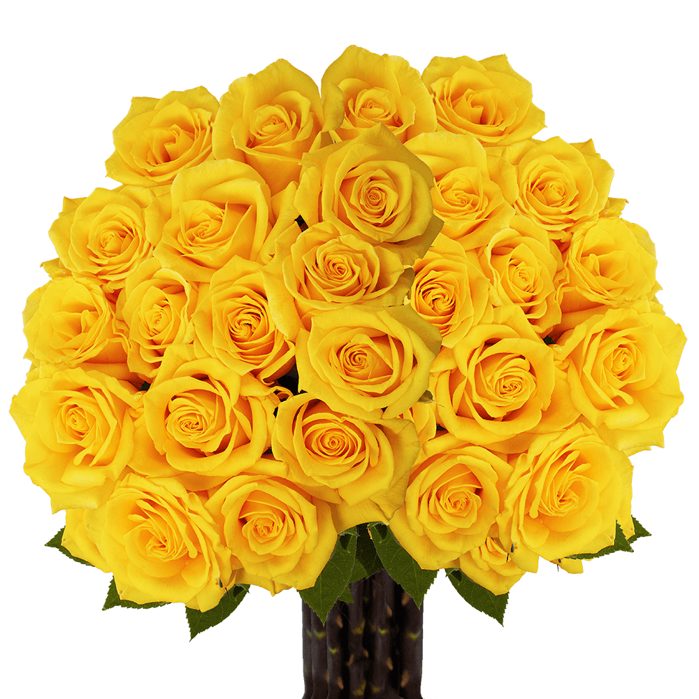 YELLOW BOUQUET 💛
