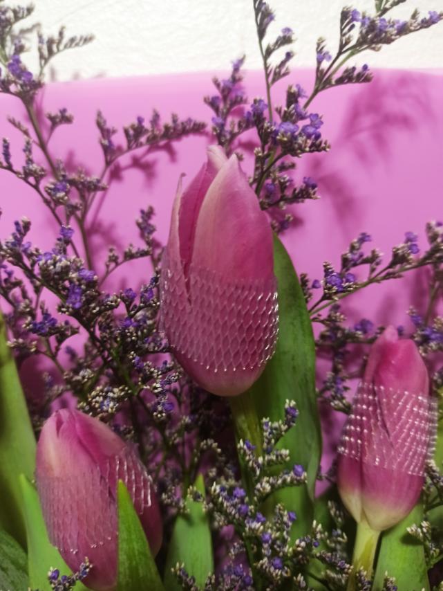 Tulips -  I-L-Y Purple 6 stems