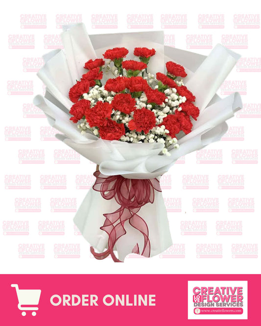 Carnation - 20 classic red