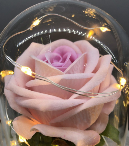 Beauty and the Beast Dome Rose Glass  - Pink