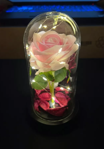 Beauty and the Beast Dome Rose Glass  - Pink