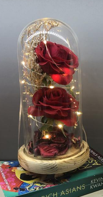 Double Rose Glass Light Dome