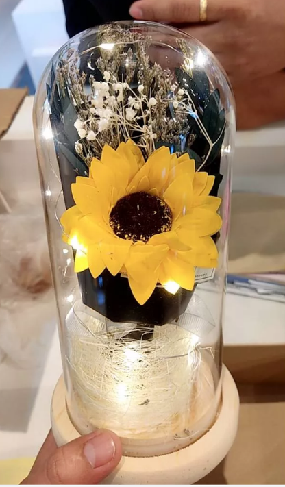 Sunflower Dome Glass Light Gift (choose your color)