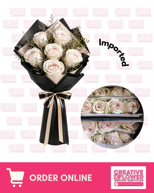 6 Beige Premiera
