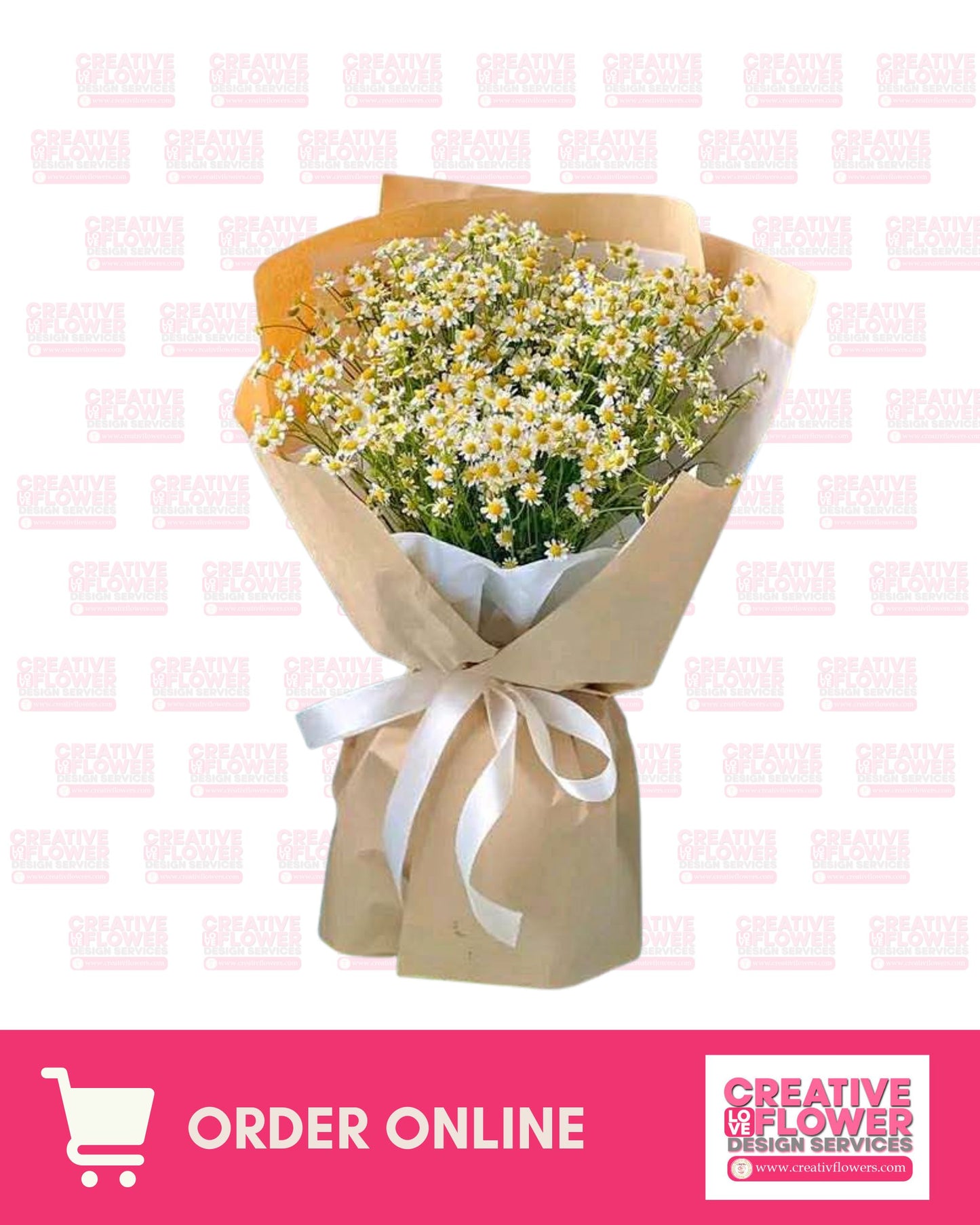 Chamomile : Sophisticated