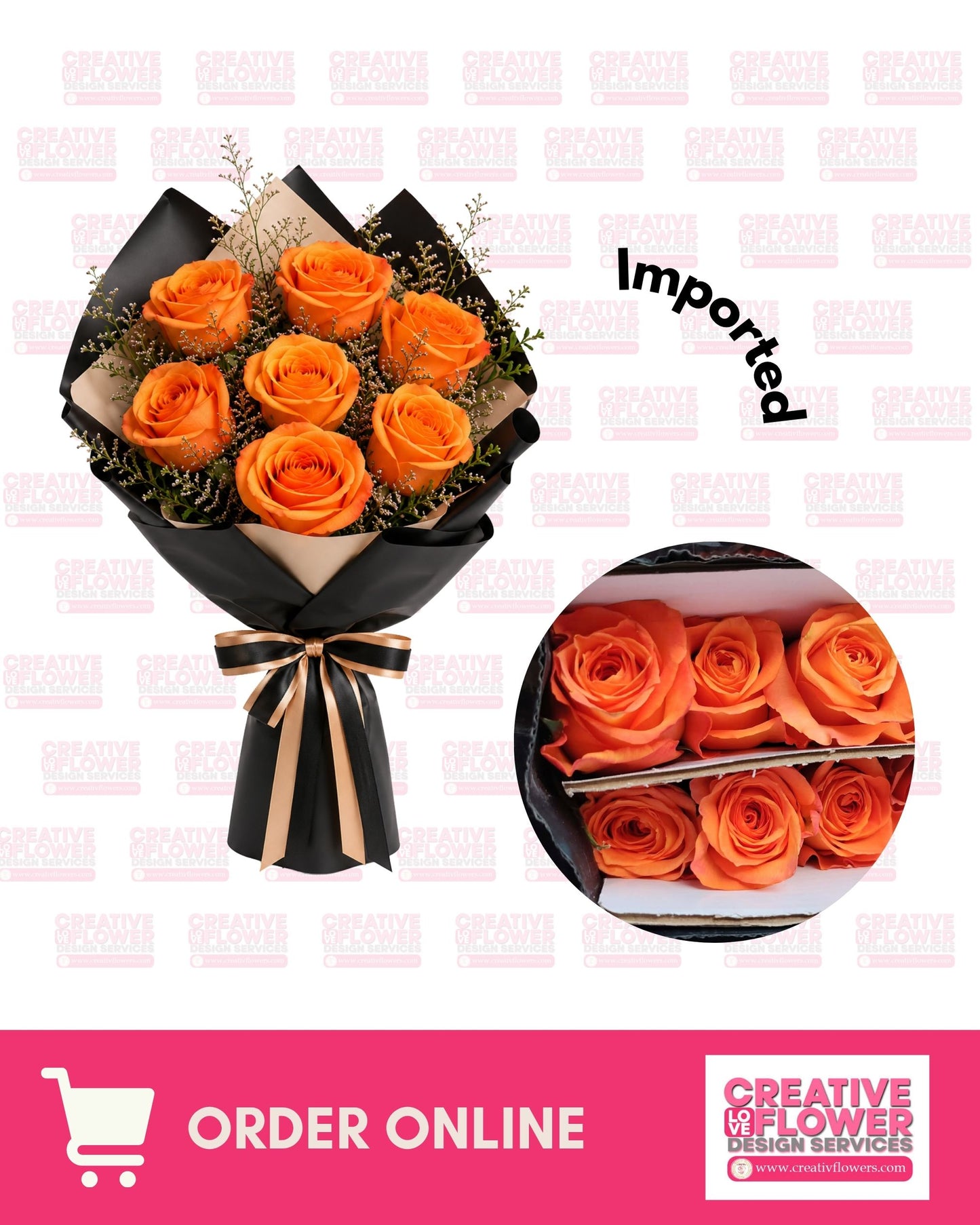 6 Orange Primiera