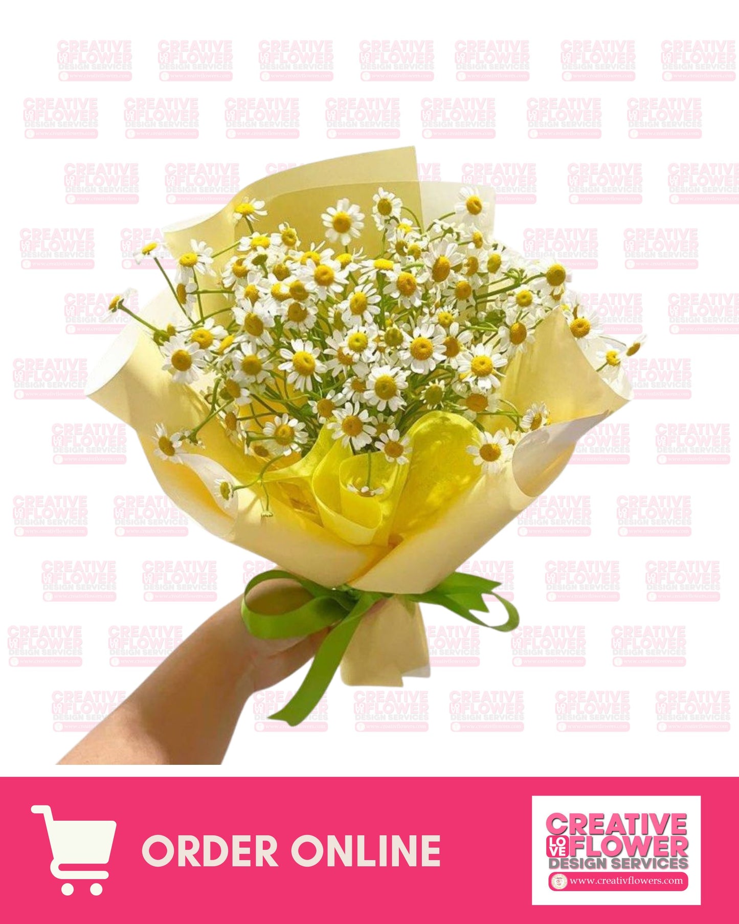 Chamomile : Cheerful