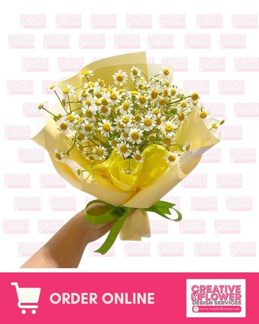 Chamomile : Cheerful