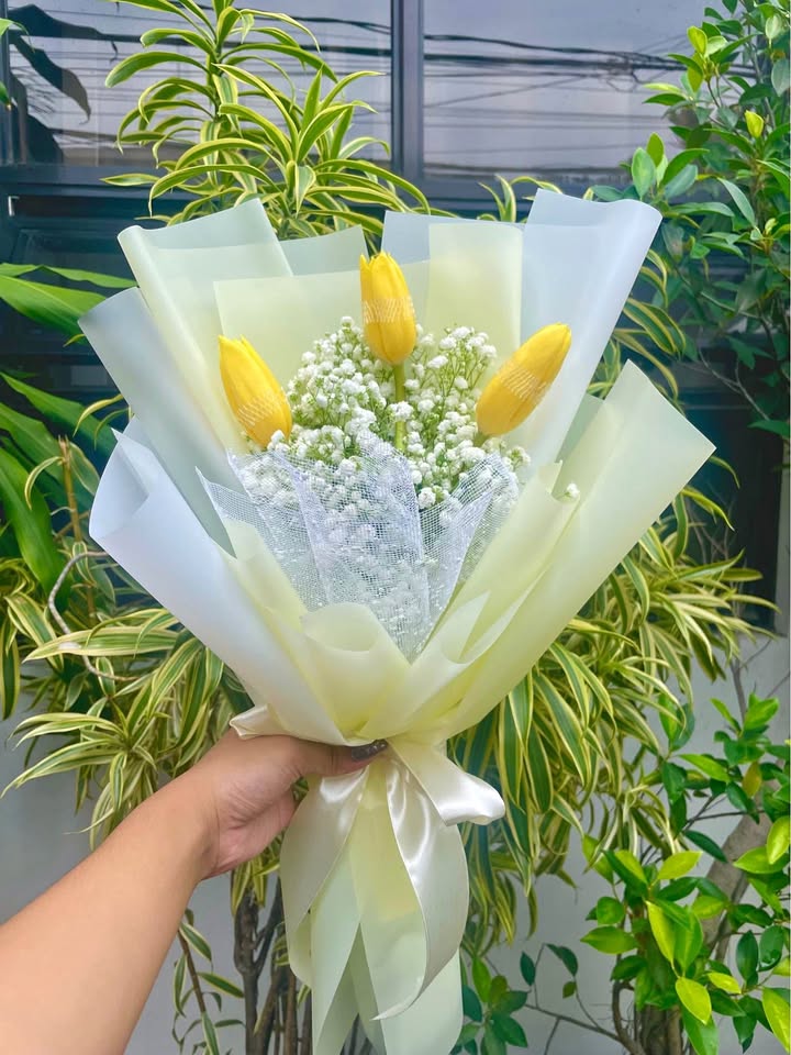 Tulips - yellow warm hug