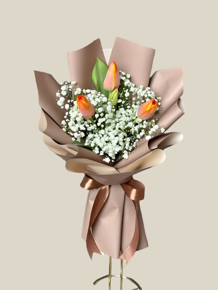 Tulips - Orange and demure