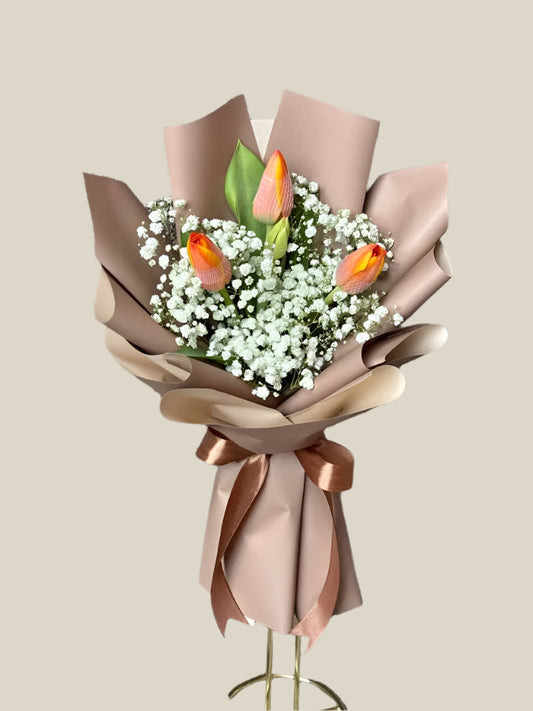 Tulips - Orange and demure