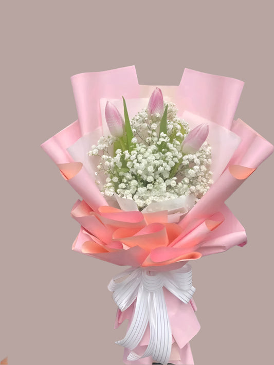 Tulips - LightSweet pink