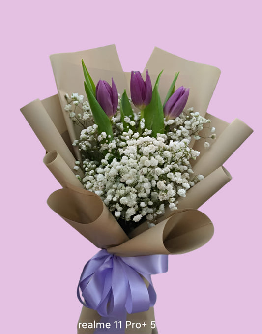 Tulips - Purple Mistica (3)