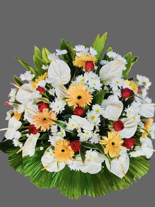 Undas - Elegancy