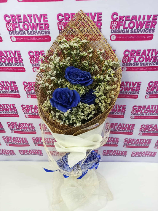 3 STEM BLUE