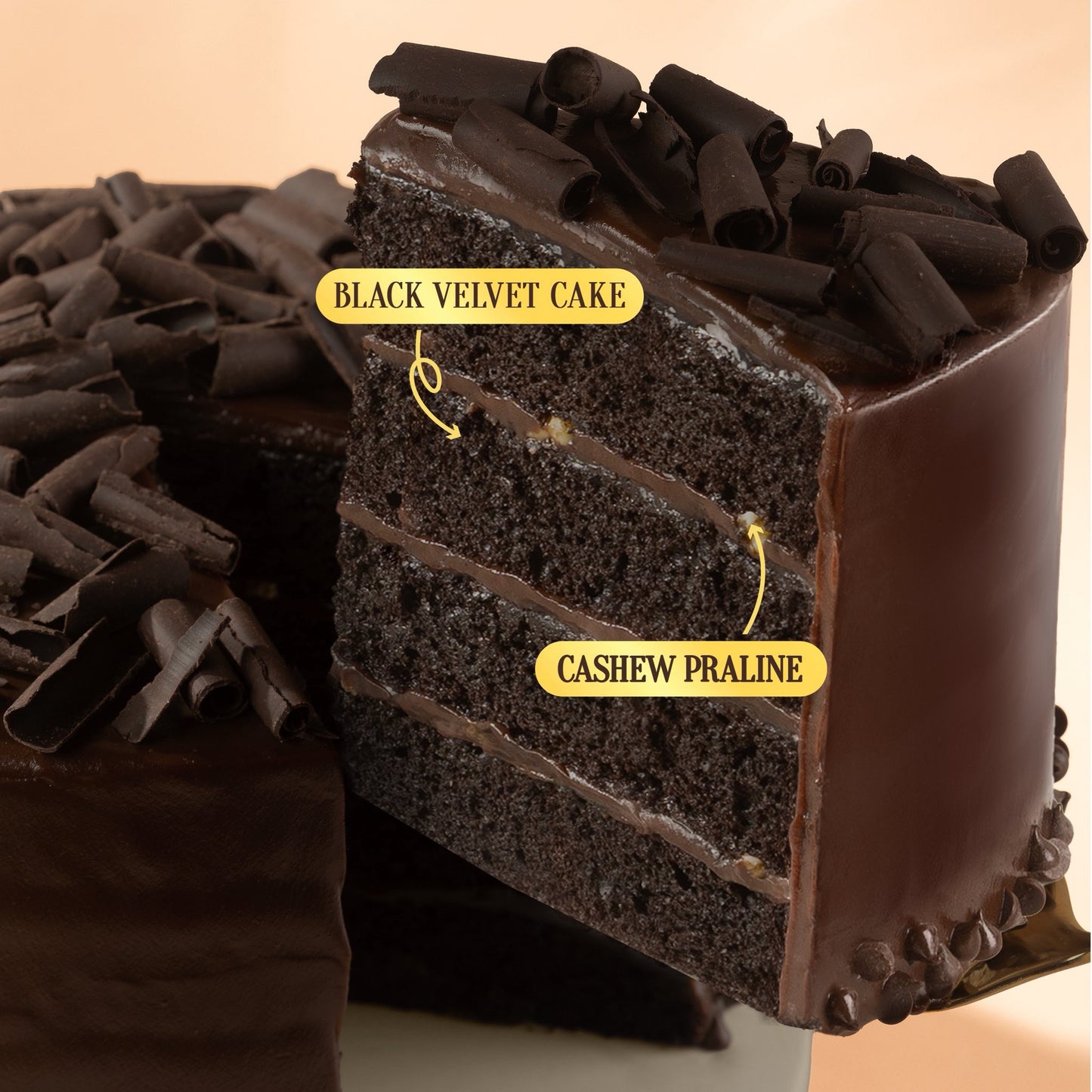 G- Signature Chocolate (Premium cake, Pre order)