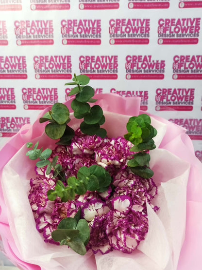 Carnation - Glimpse of Purpal