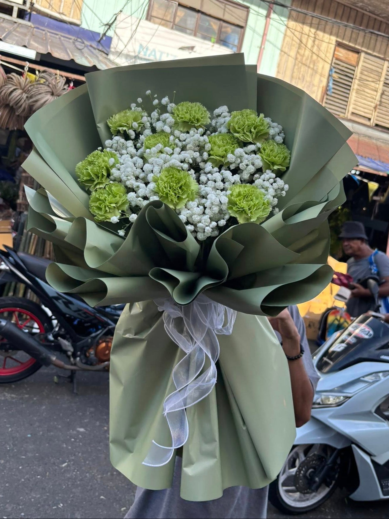 Carnation - Green Everly