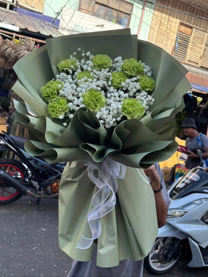 Carnation - Green Everly