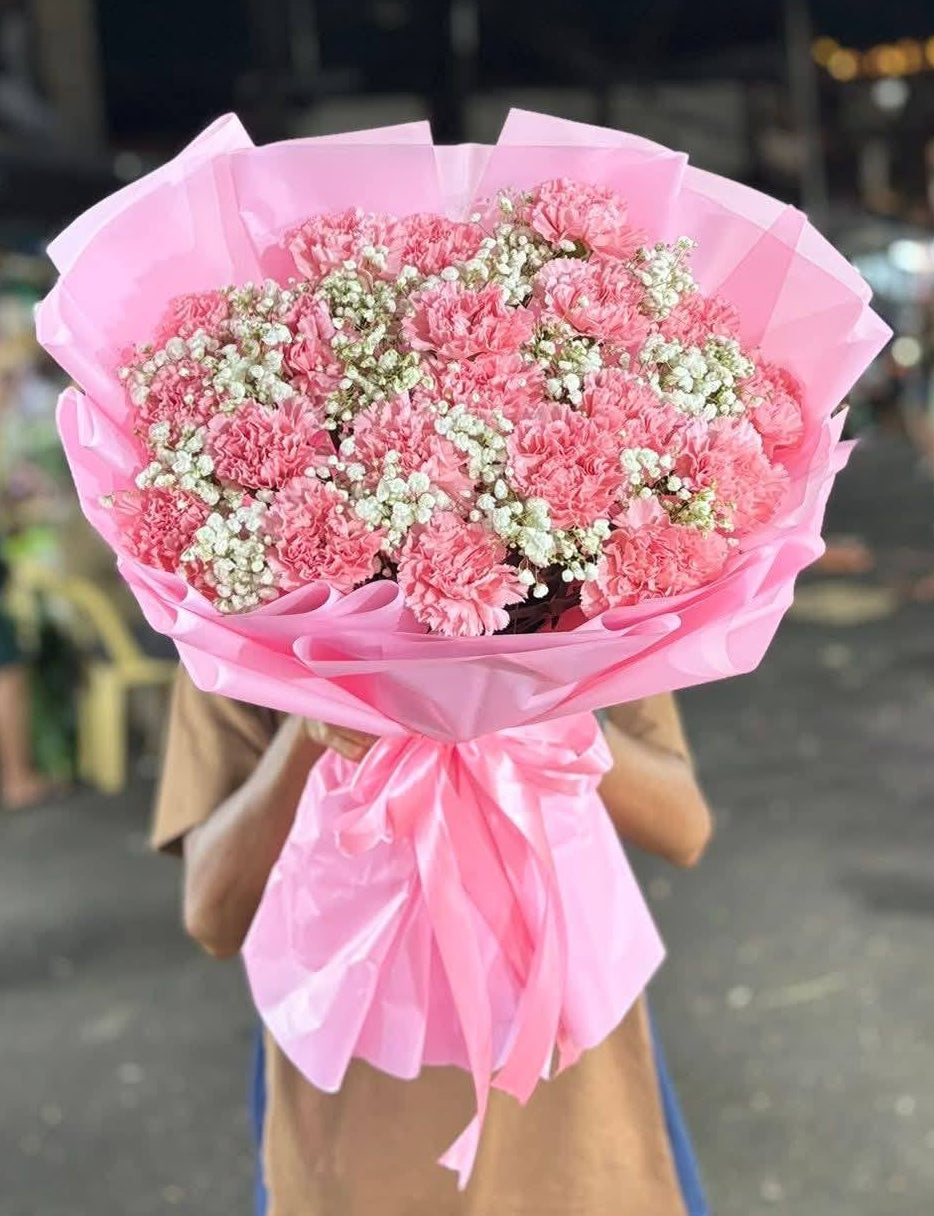 Carnations - 20 blush on you