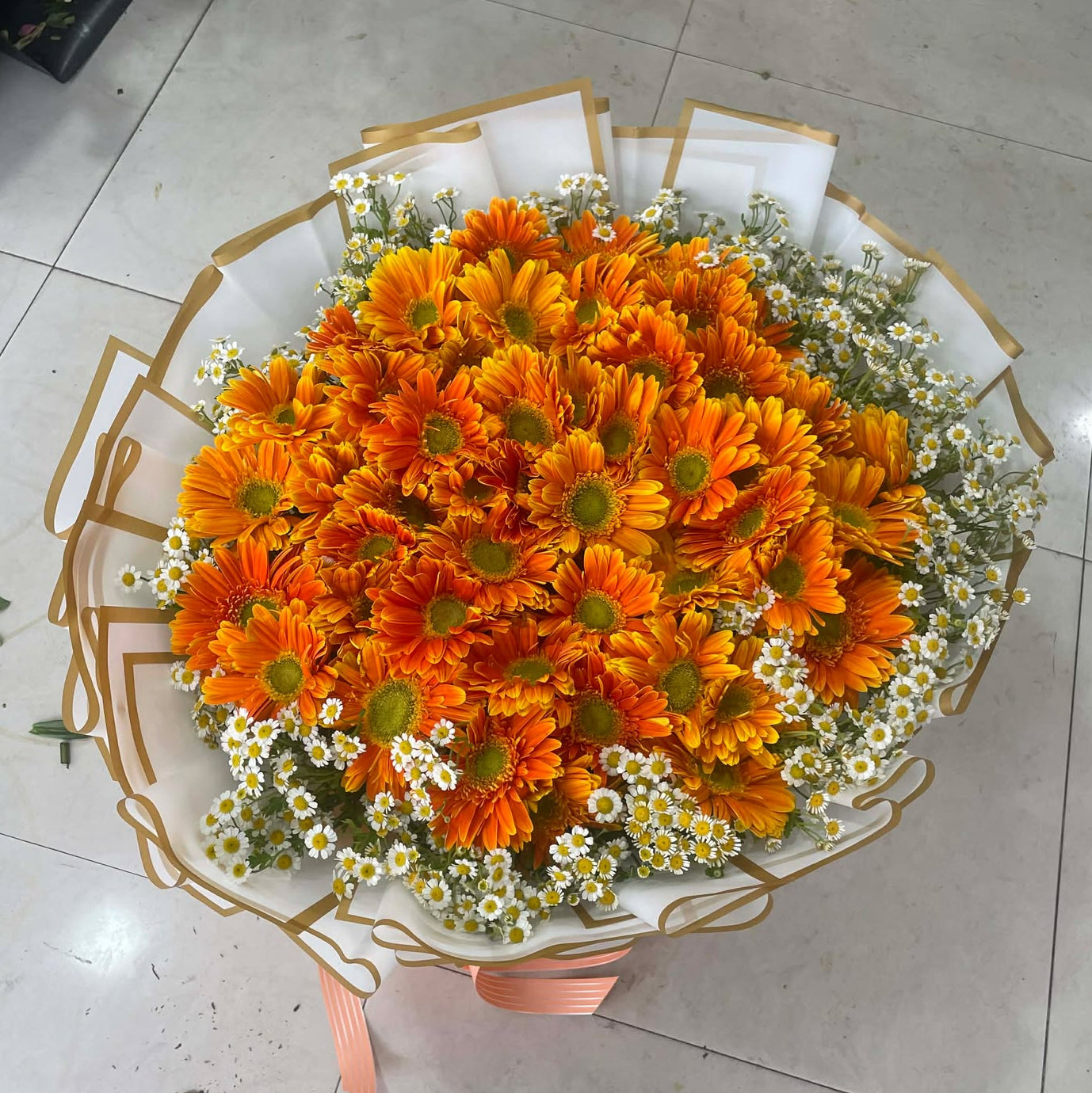 Daisy - Citrus Daisy Delight Overload (50 stems)