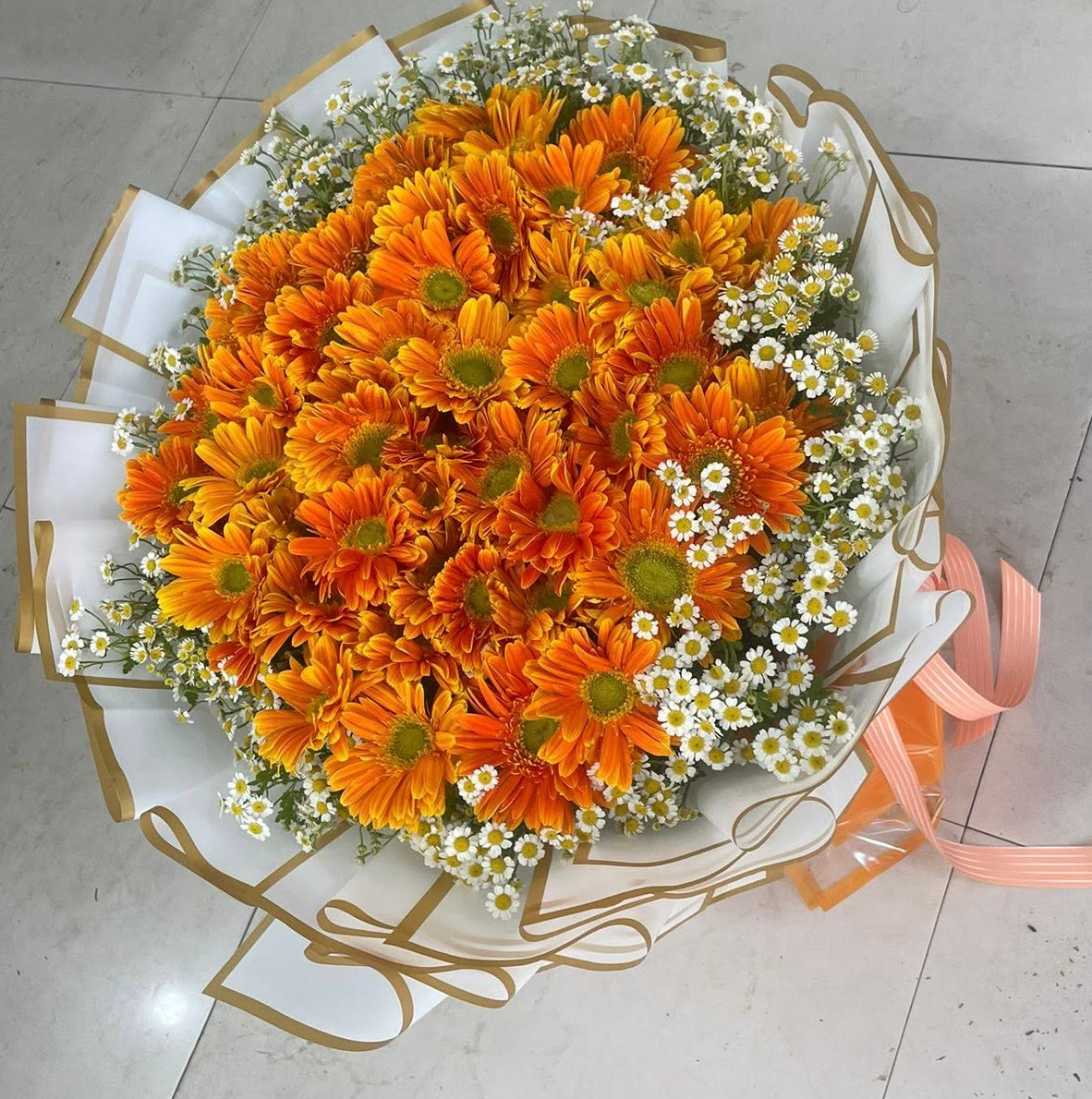 Daisy - Citrus Daisy Delight Overload (50 stems)