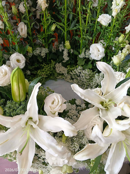 Urn - White Serenity