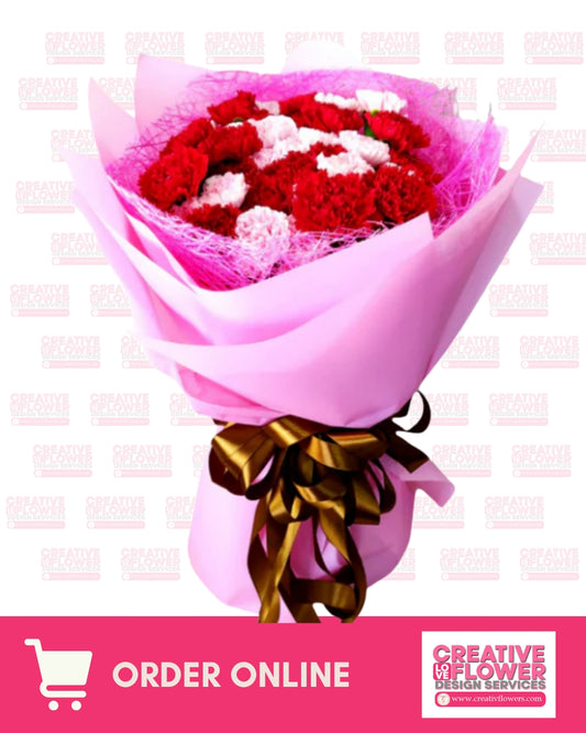 Carnation - Sweet Big Round of You (40)