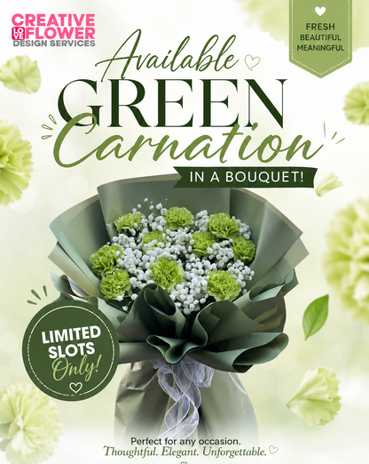 Carnation - Green Everly