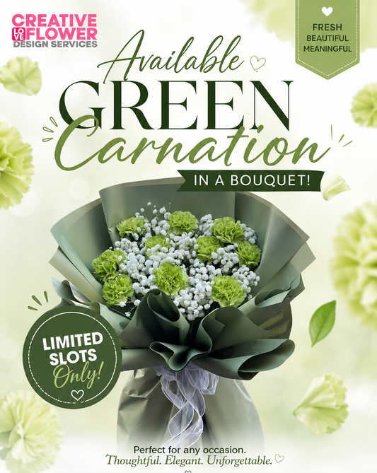 Carnation - Green Everly