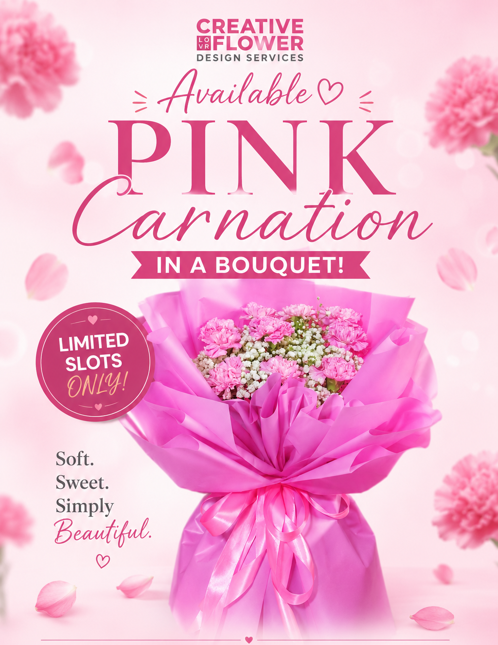 Carnations - Pink Crushy