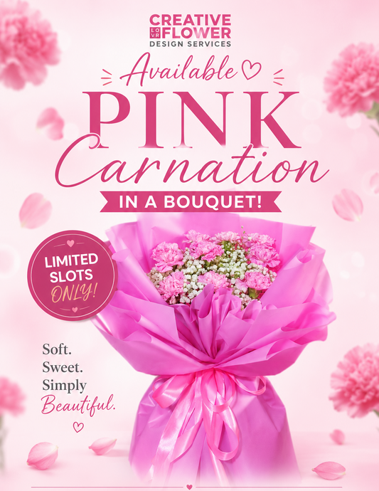 Carnations - Pink Crushy