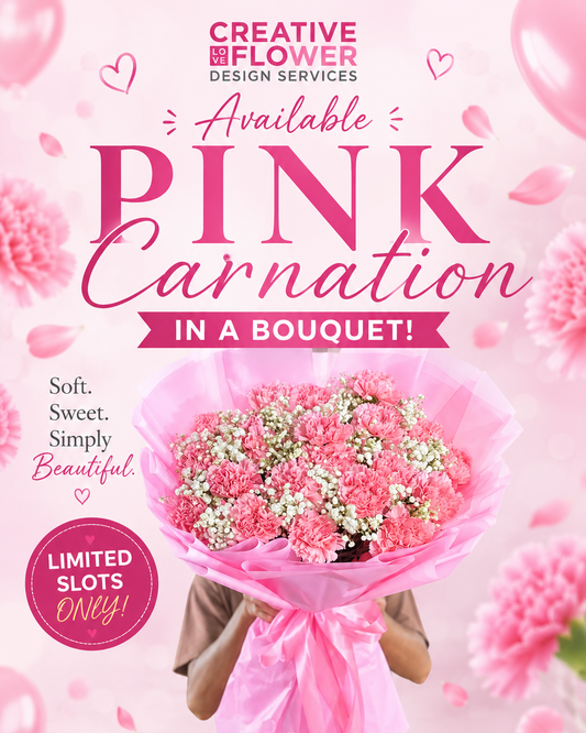 Carnations - 20 blush on you