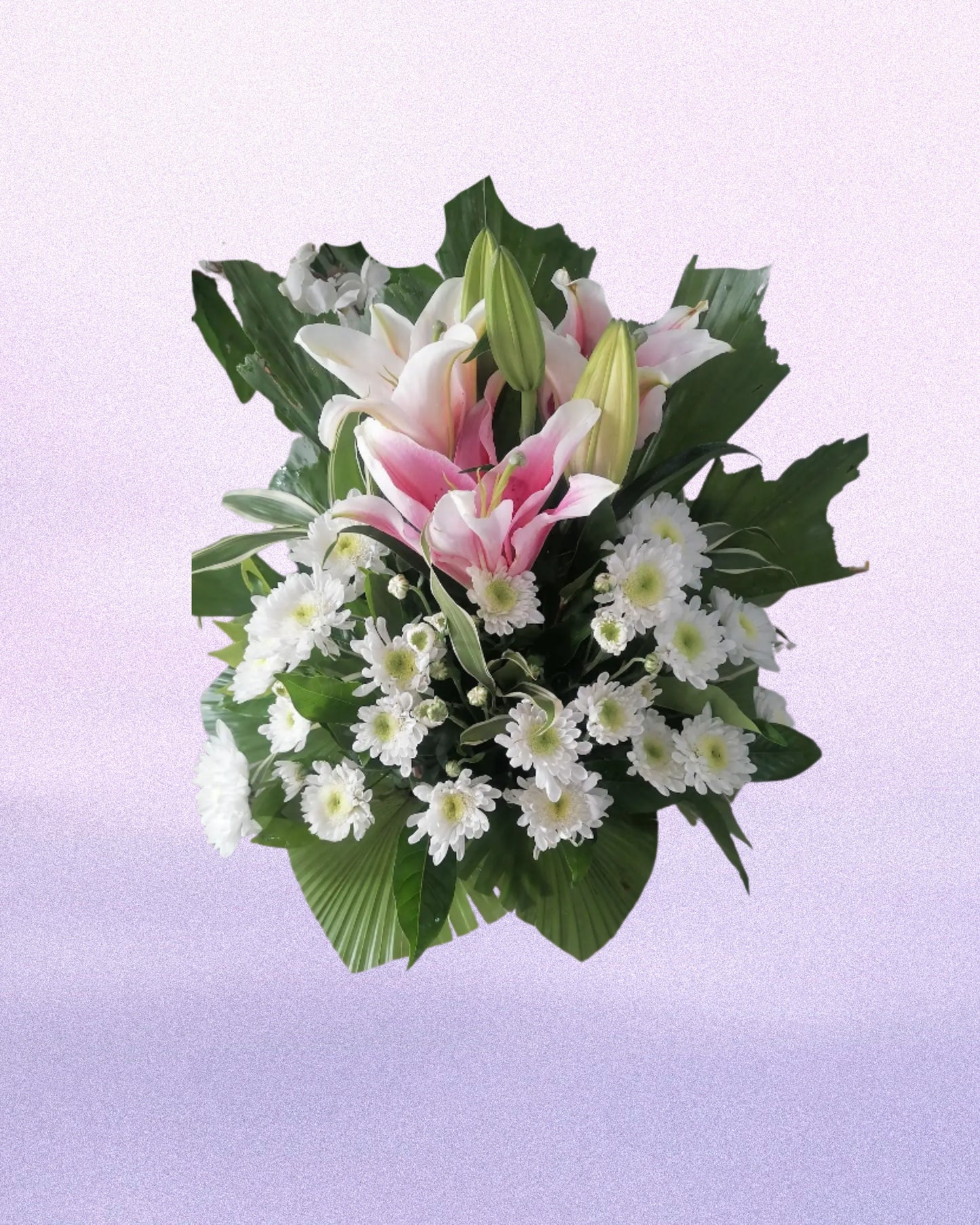 Lily Bloom Pot