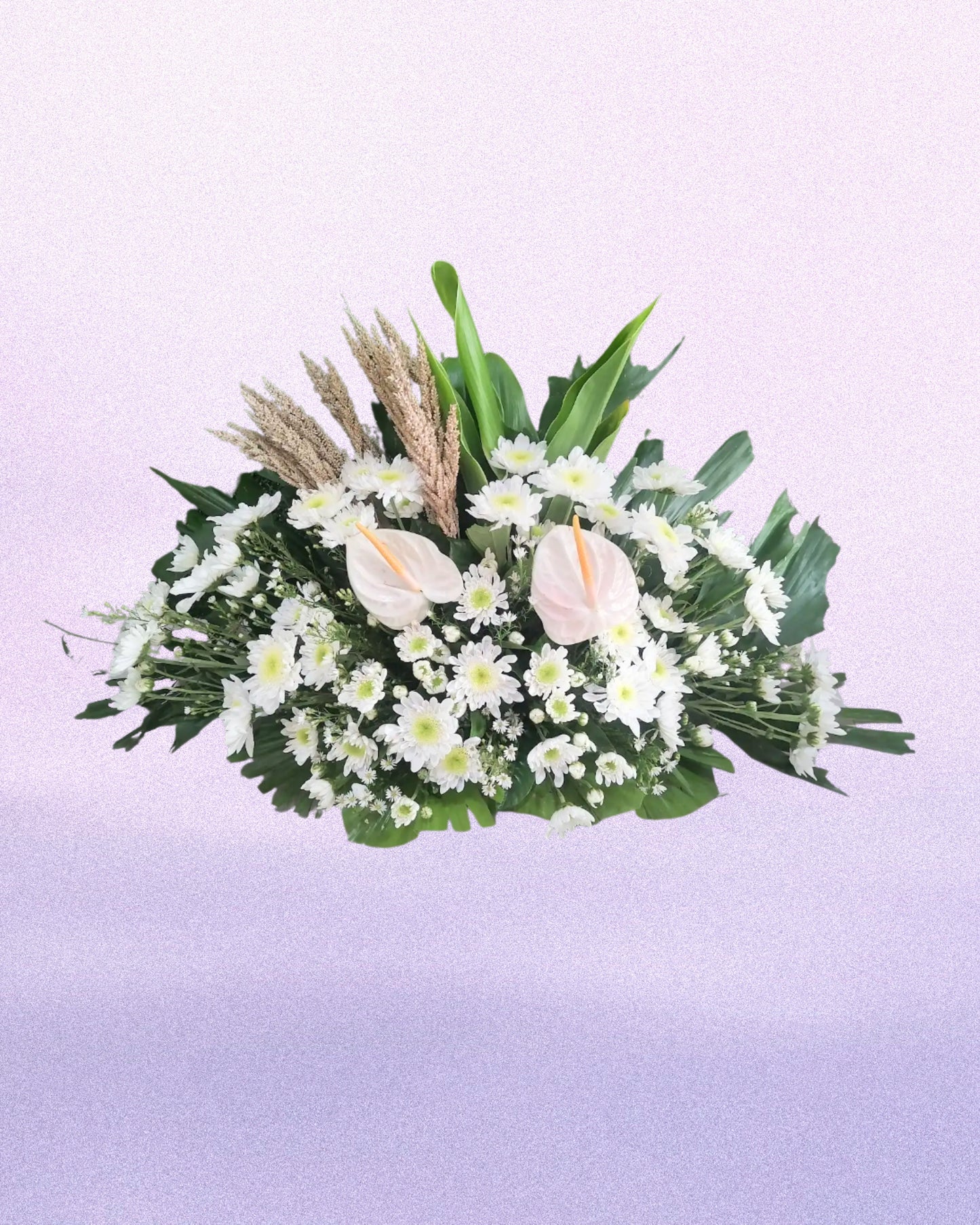 Pure Grace Arrangement