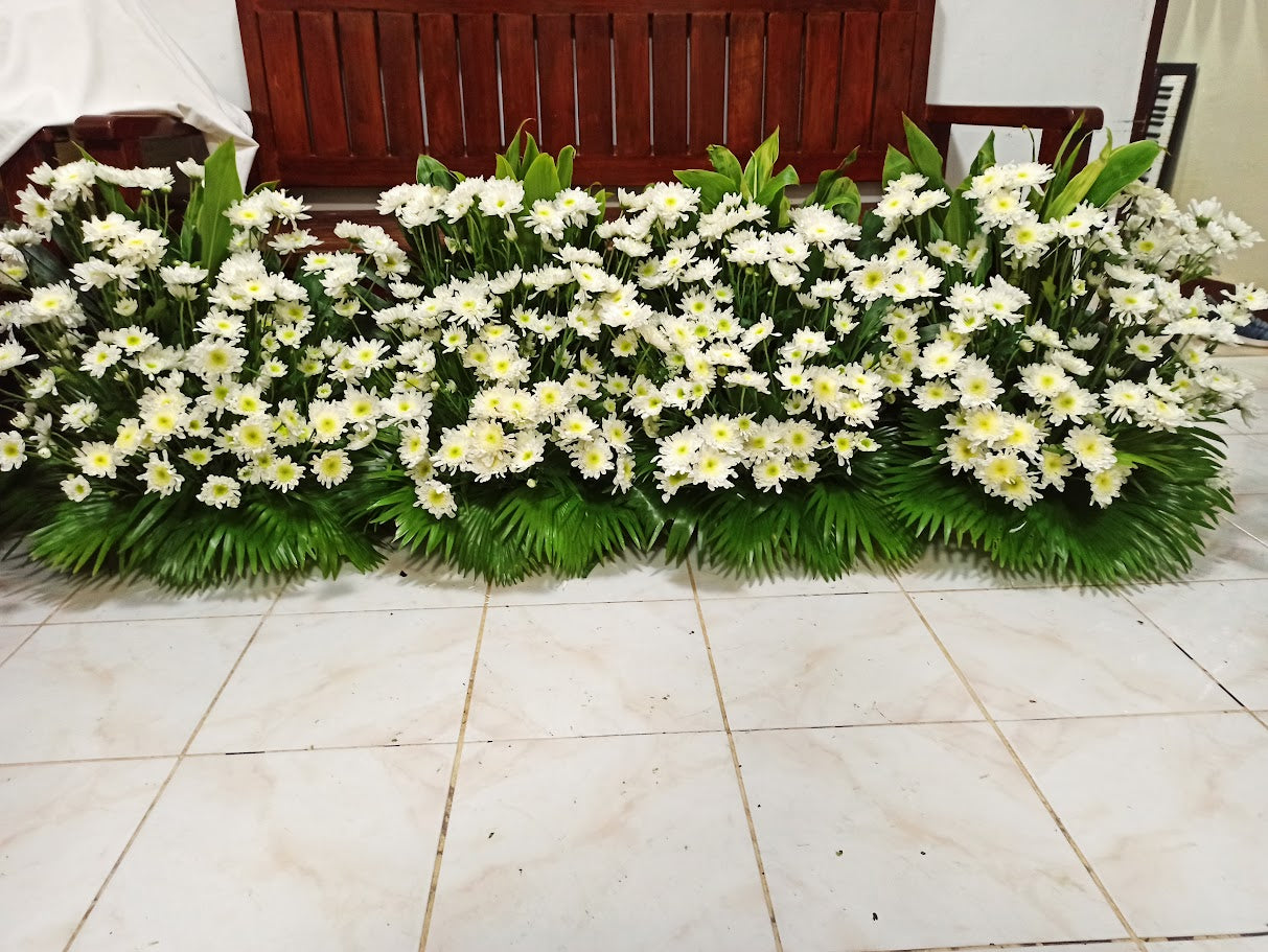 Below Coffin Deepest Love