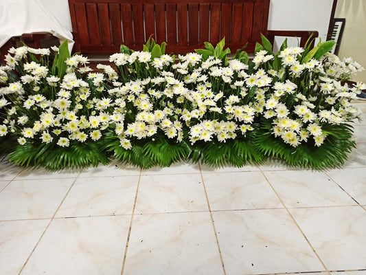 Below Coffin Deepest Love