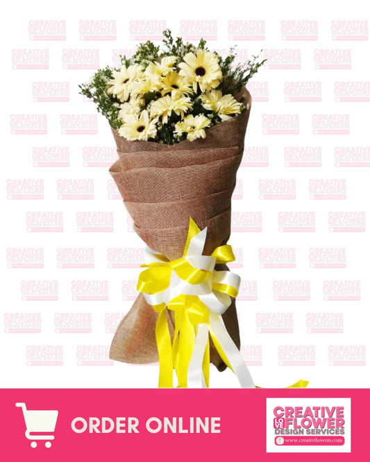 Daisy - White Daisies