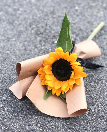 Single sunflower no fillers