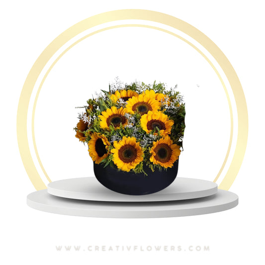 Sunflower - Warm Year Rounded (12) black box