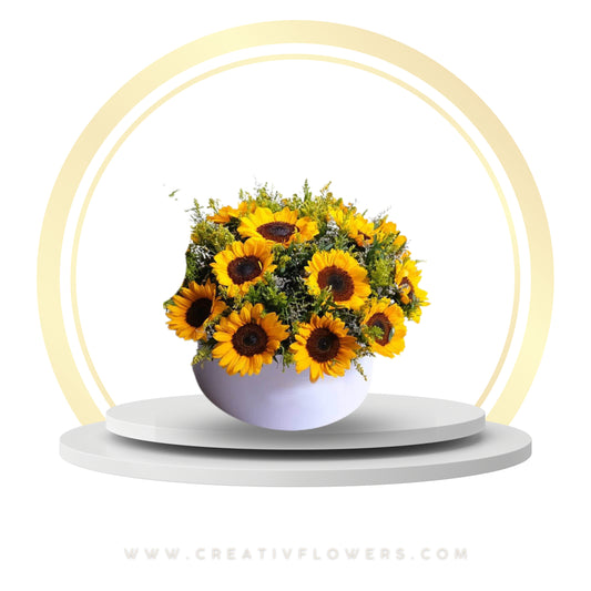 Sunflower - Warm Year Rounded (12) white box