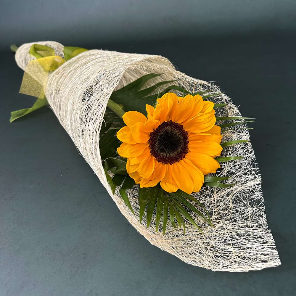 Single sunflower no fillers
